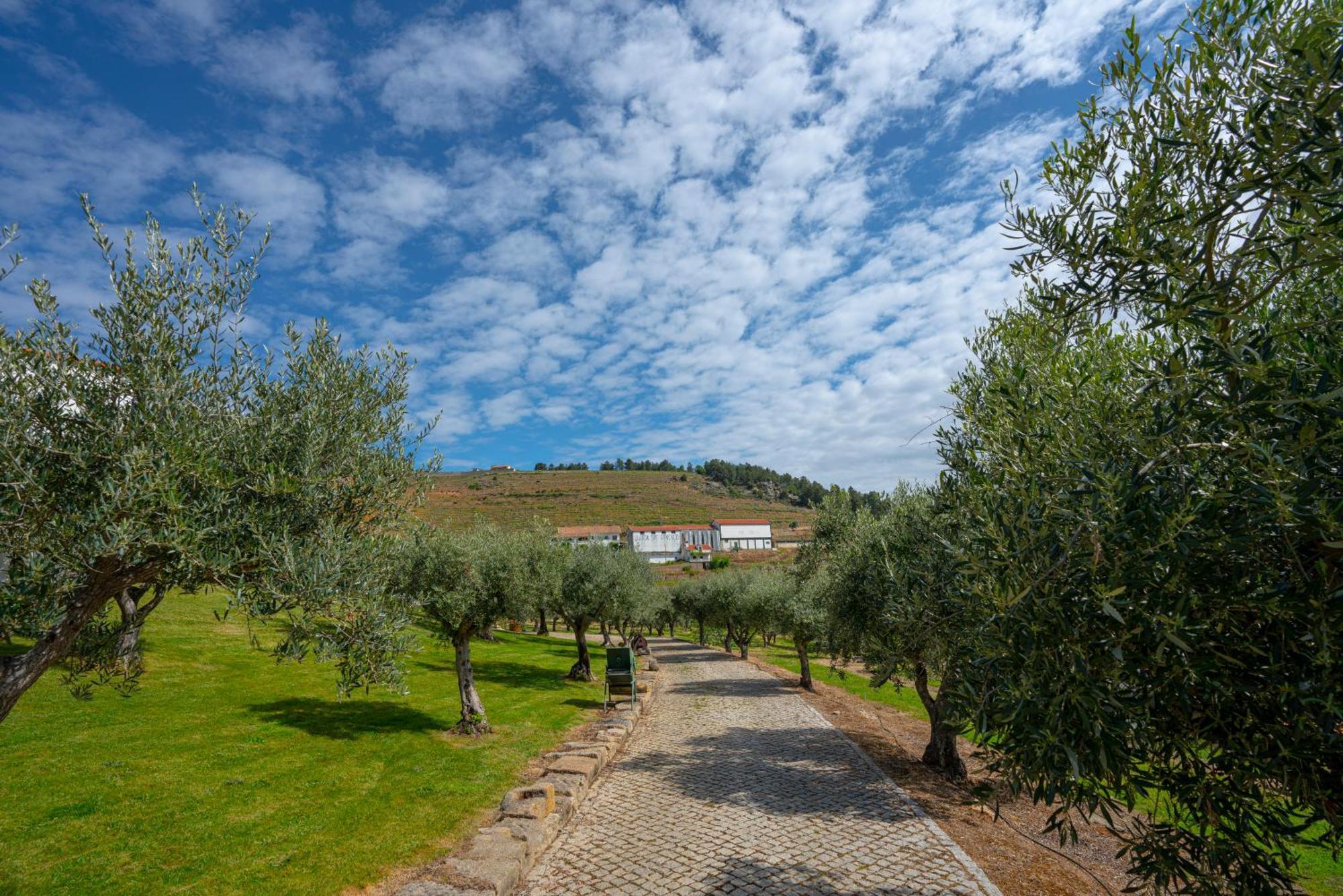 Valonquinta - Agro Hotel & Spa 费洛尔镇 外观 照片